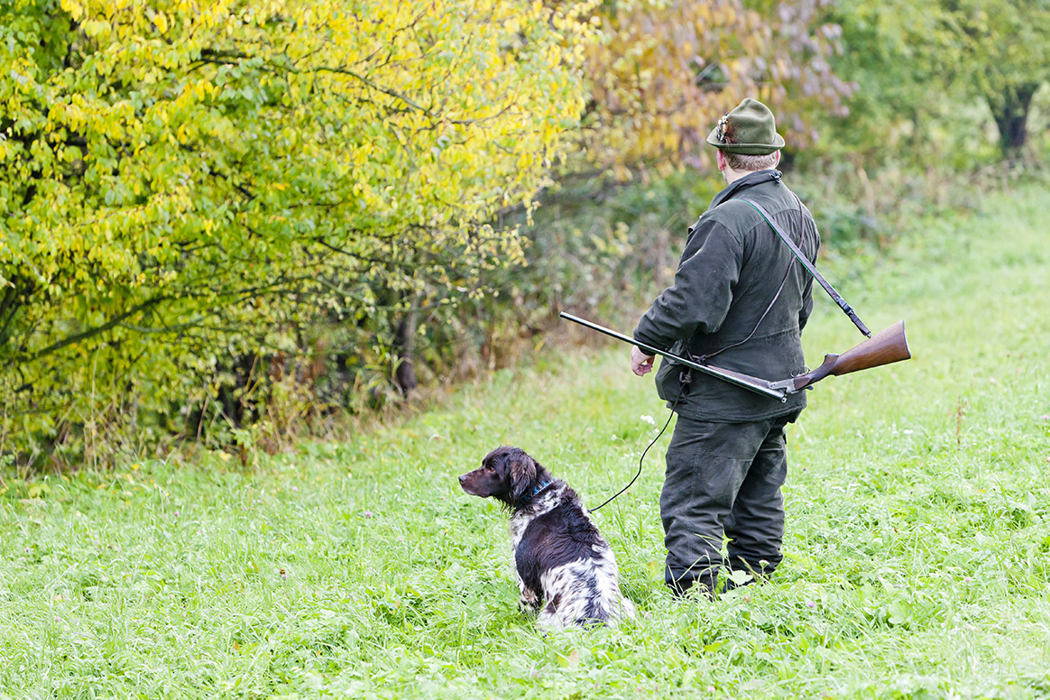 Suisse : une pénurie de chasseurs qui commence à coûter cher