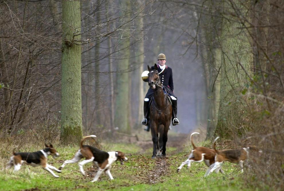 NON la FNC n’a jamais demandé de stopper la chasse à courre cette saison !