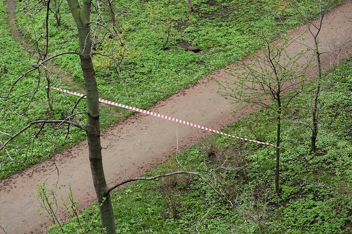 Une femme tuée par des chiens en forêt de Retz (02)