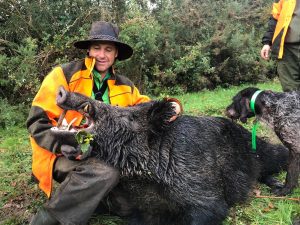 Récit : un sanglier de 213 kilos prélevé en Loire-Atlantique