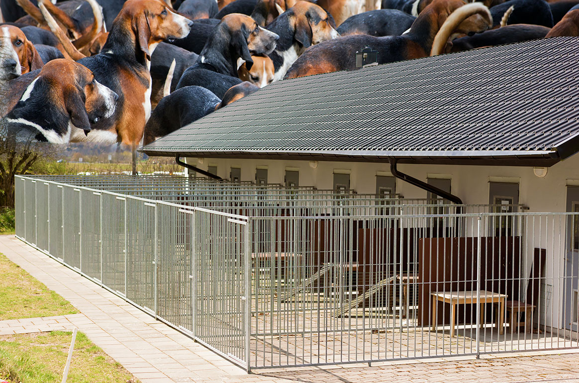 Espace élevage  Matériel pour pensions canines, les parcs à chiots - les  parcs à chiens