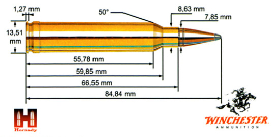 Top 10 des + calibres les plus utilisés en France à la chasse ! 