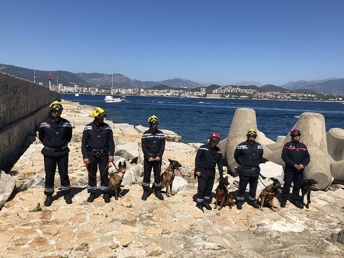 Corse : des chiens pour détecter le COVID-19