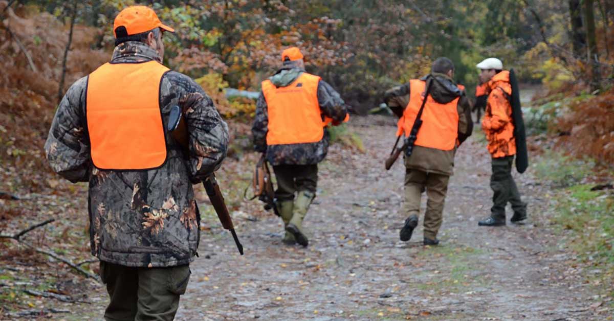 Accident de chasse en Bretagne, la fédération s’exprime