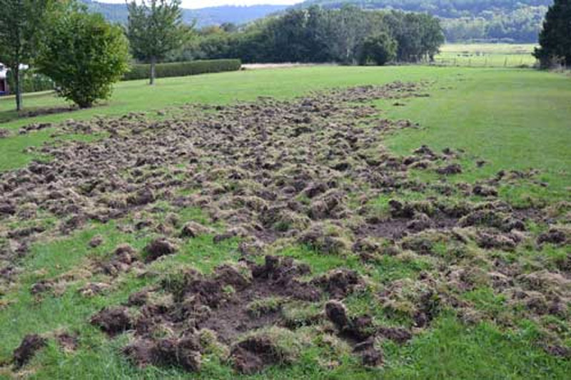 Un agriculteur porte plainte contre l’OFB