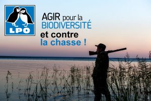 La lpo demande la fermeture de la chasse