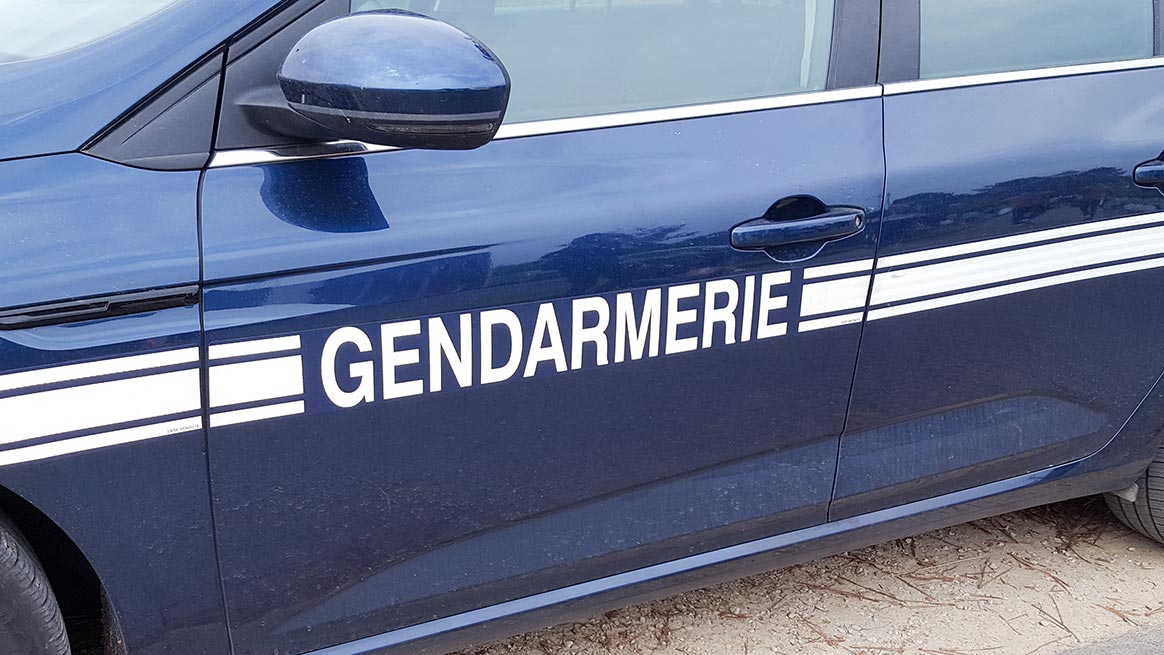 Ille-et-Vilaine : un sanglier envoie au tapis 2 voitures de gendarmerie
