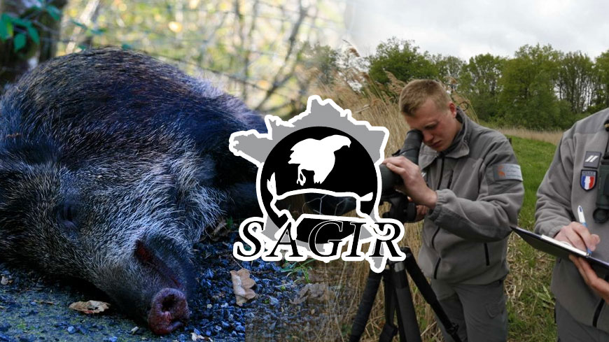 https://www.chassepassion.net/wp-content/uploads/2020/08/reseau-SAGIR-2.jpg