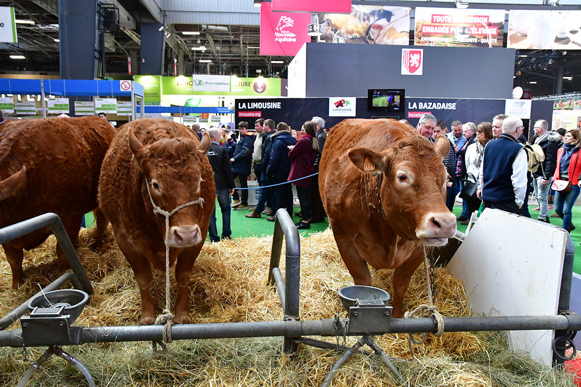 Annulation du salon de l’agriculture : une chance pour les parisiens