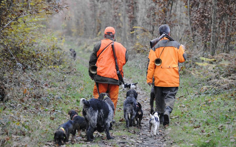 Chasse au sanglier : 1.5 million d’euros mis à la disposition des chasseurs de l’État de Saxe