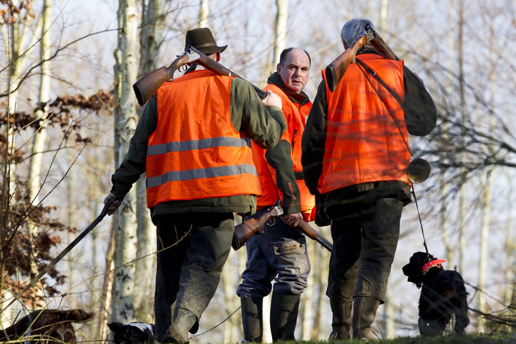 Corrèze : les mesures dérogatoires de chasse sont en ligne