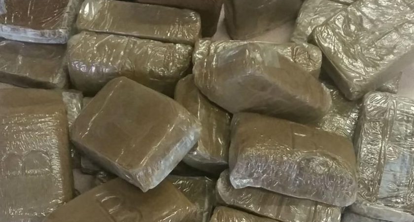 Un chasseur découvre 100 kilos de résine de cannabis en participant à une battue       