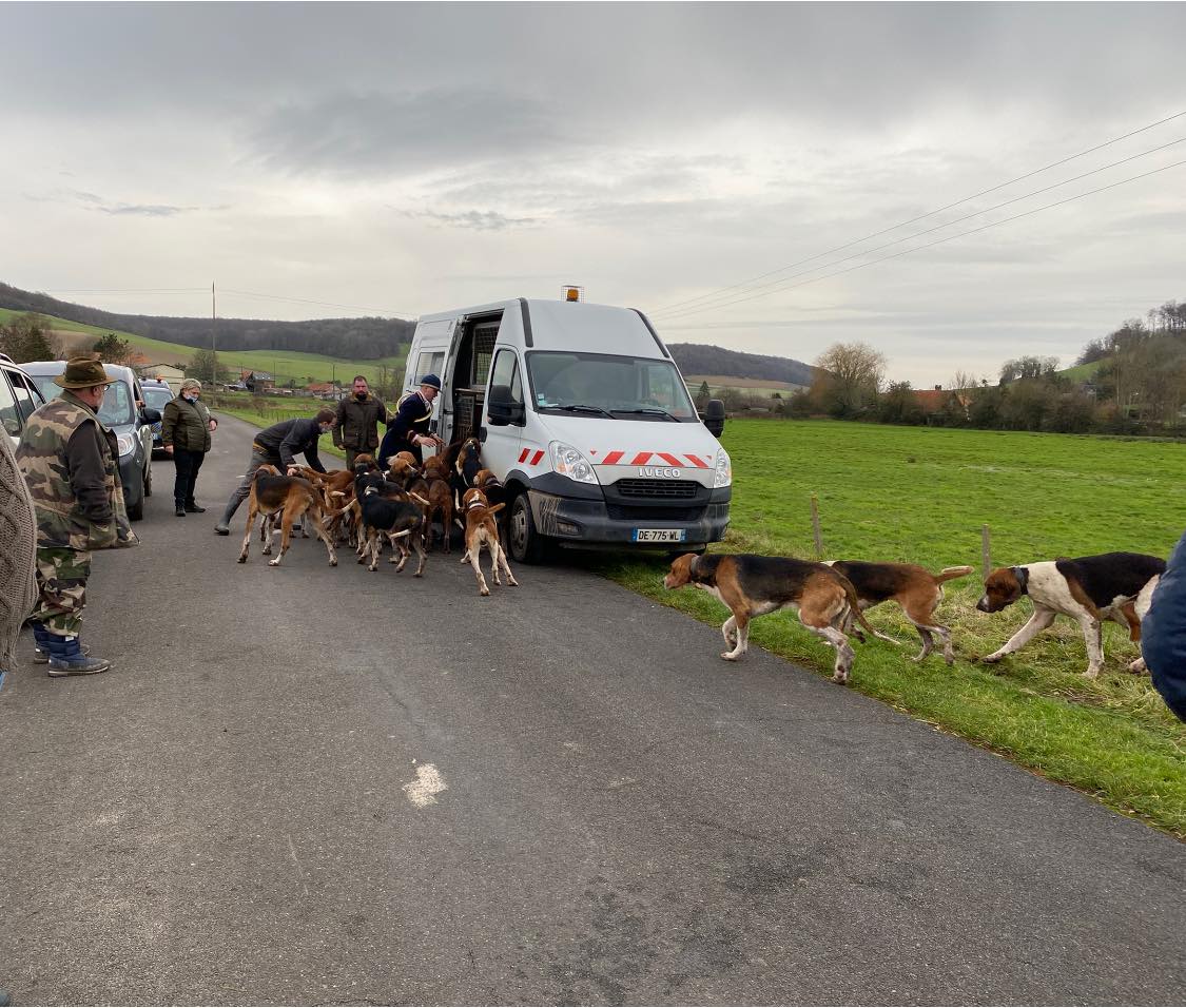 Un maire déclare la guerre à la chasse à courre, la jugeant même illégale