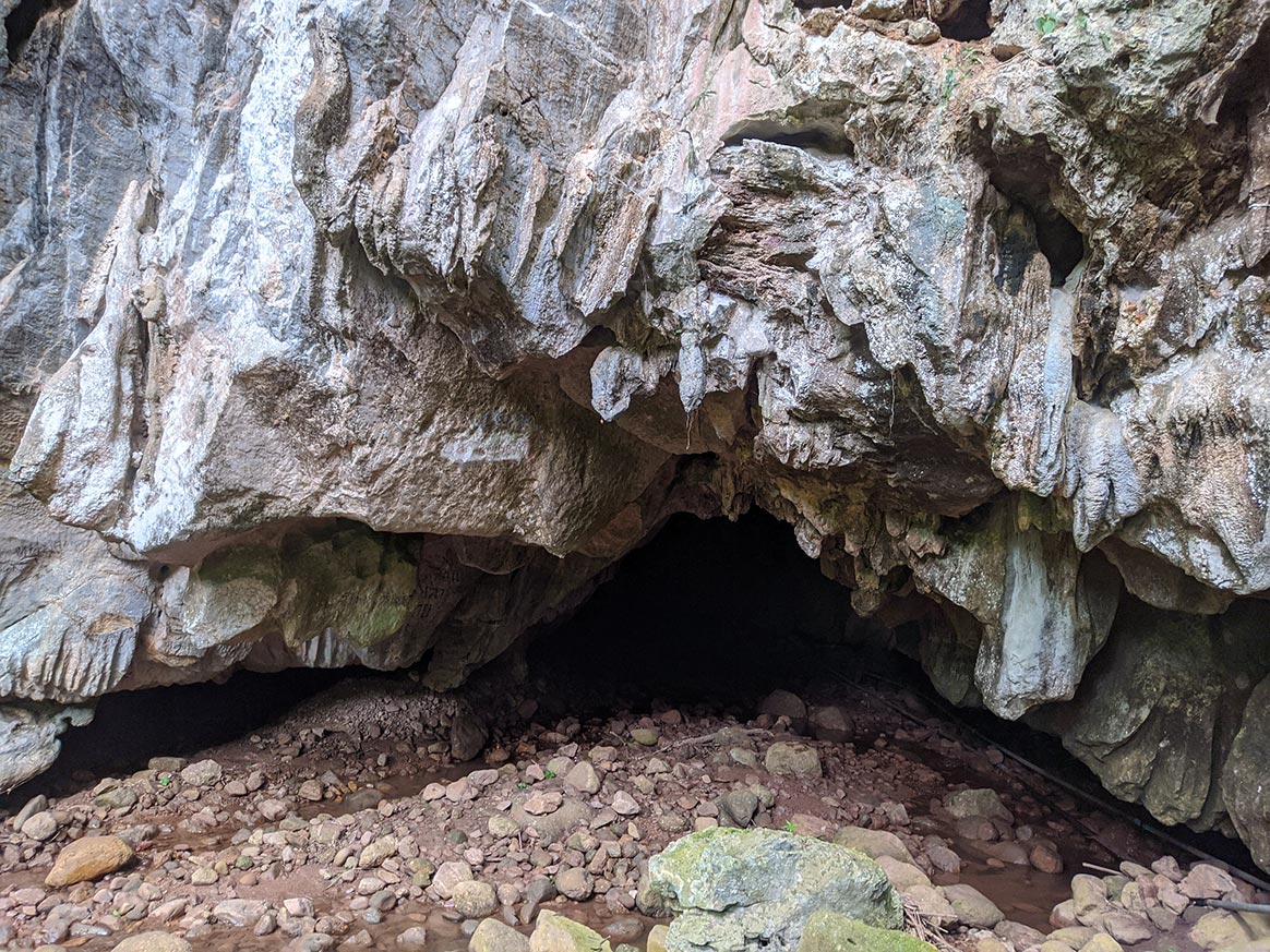 Un chasseur coincé avec ses chiens sous une roche
