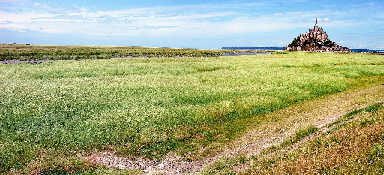 Chasse suspendue sur une partie du DPM de la Manche