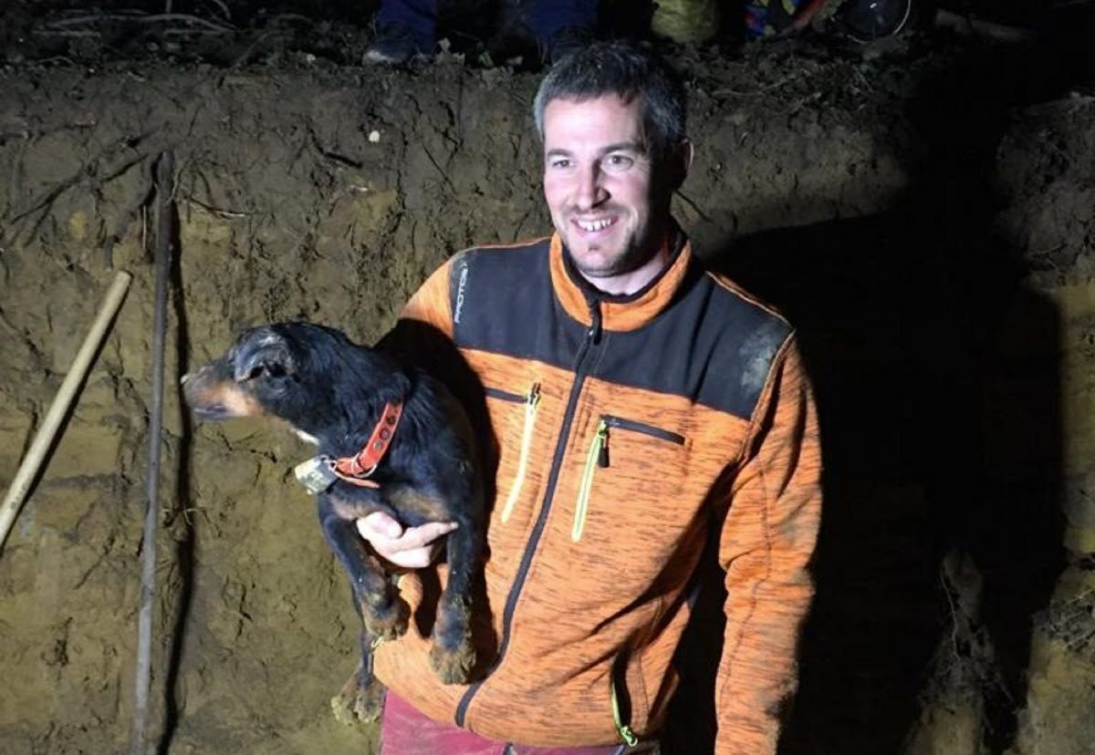 Un chien de chasse sauvé après avoir passé 6 jours sous terre