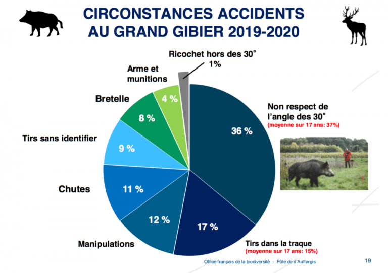 graph-accident-768x542.png