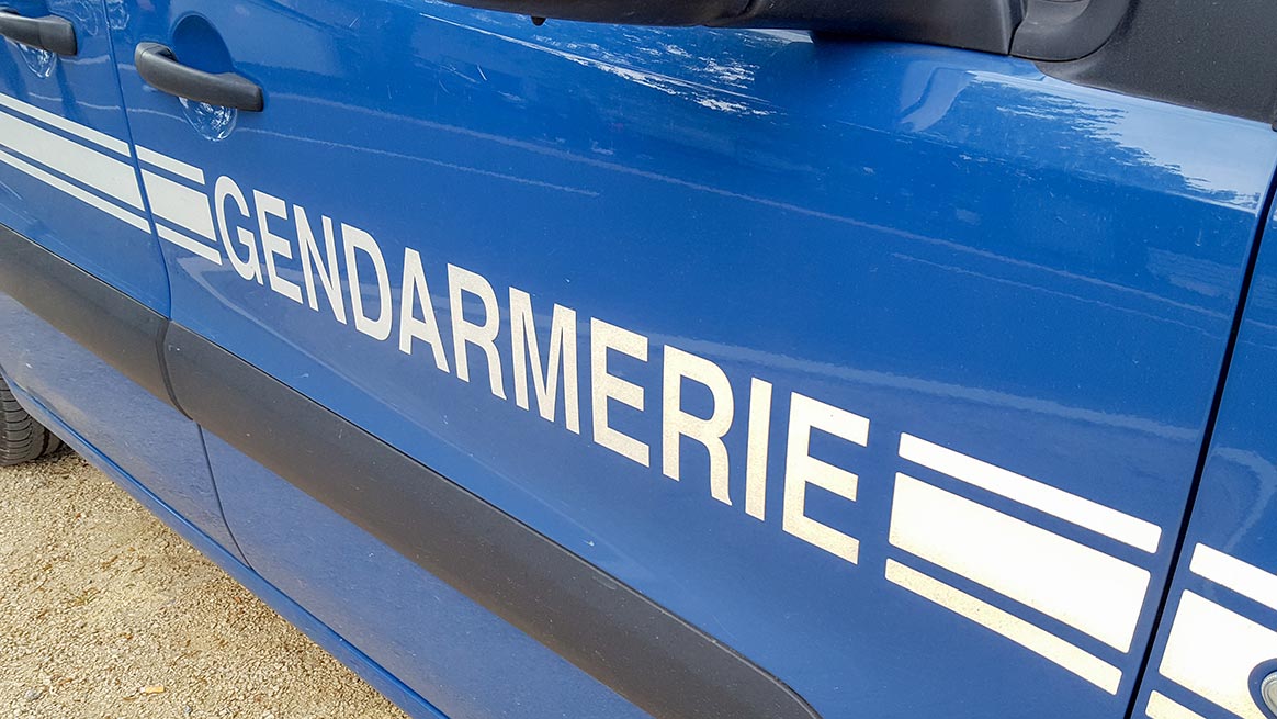 Rennes : une voiture de gendarmes percute un sanglier et prend feu 