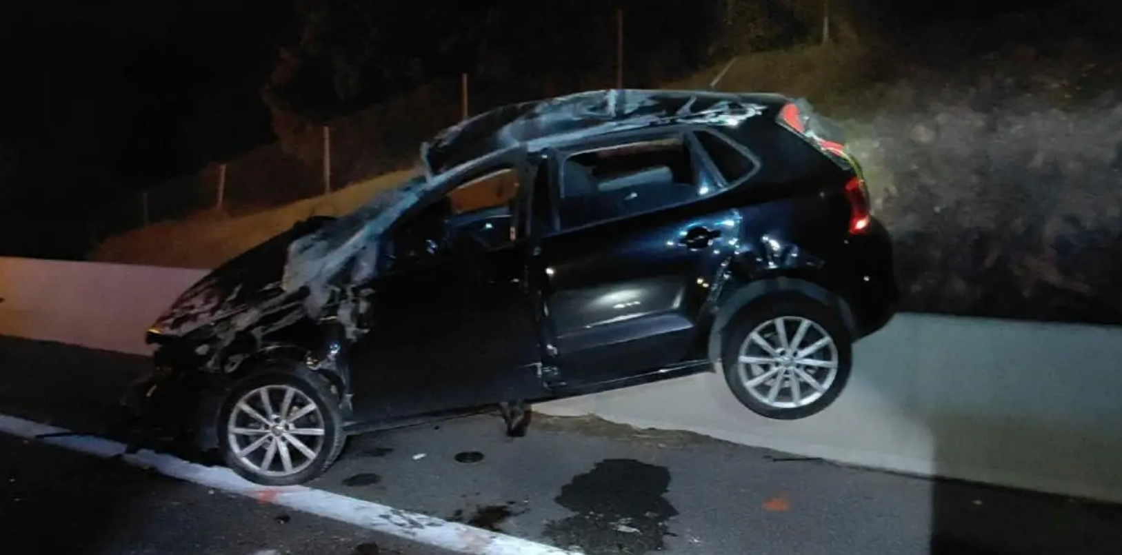 Un sanglier à l’origine d’un accident mortel dans les Alpes-Maritimes