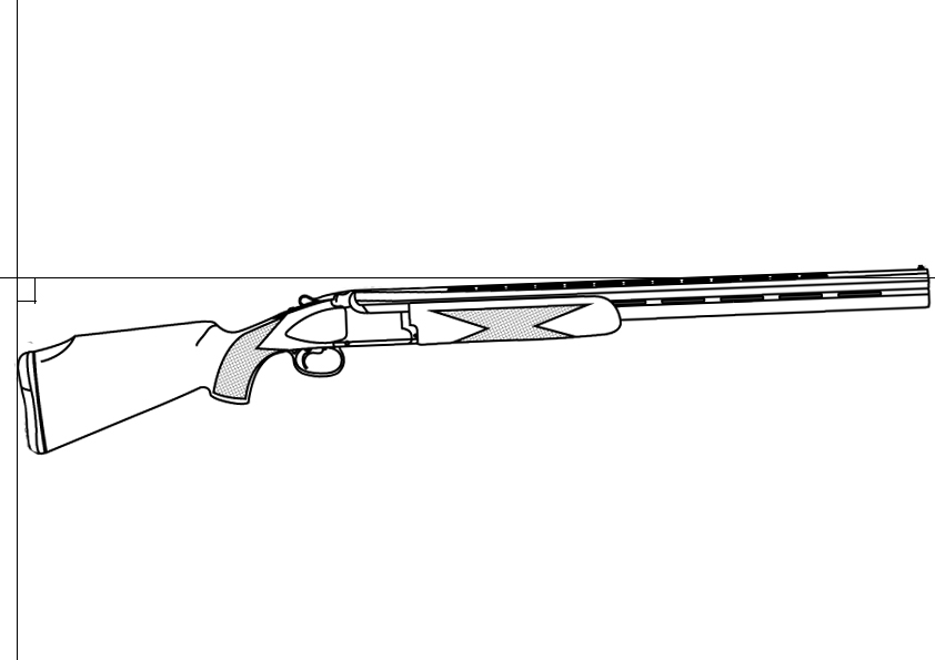 pitch du fusil positif