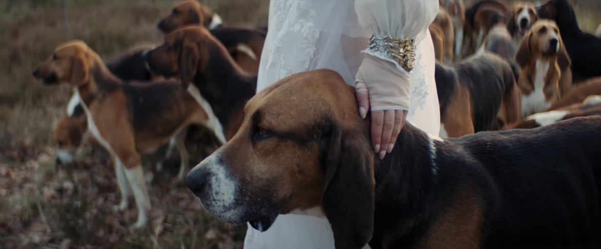 Joanna, la chanteuse qui a tourné son clip avec les chiens du Rallye Fontainebleau