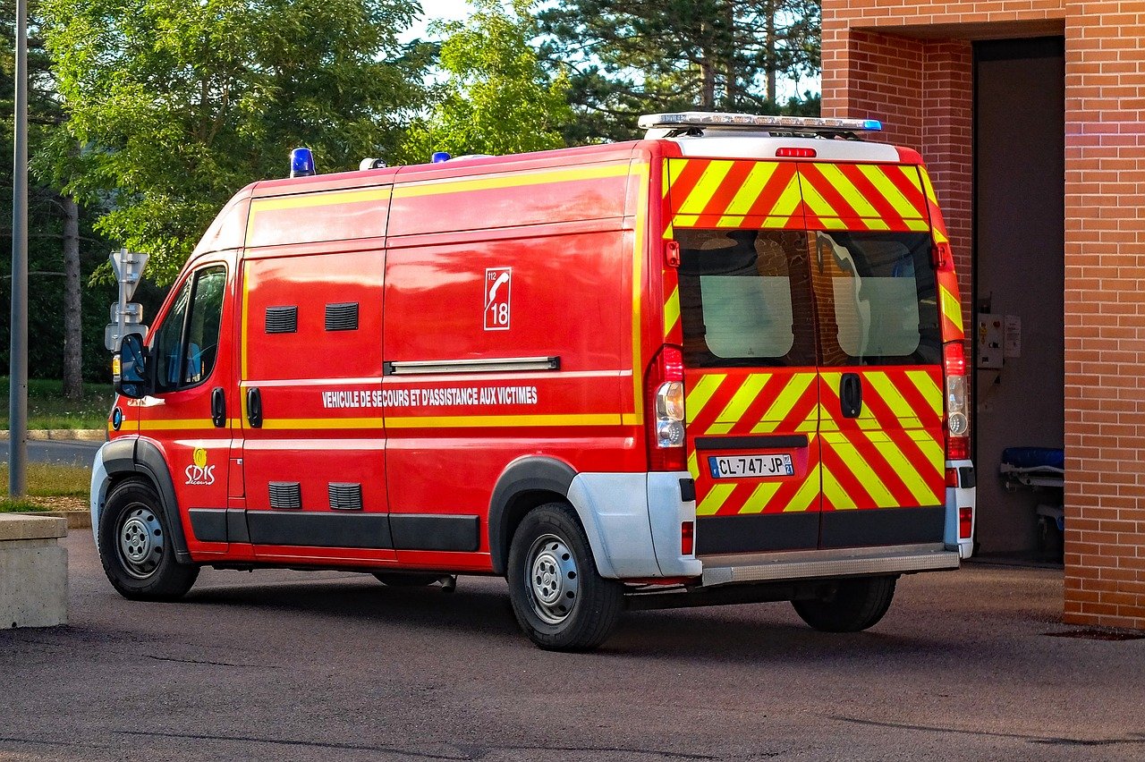 Un homme meurt fauché sur l’autoroute après avoir percuté un sanglier