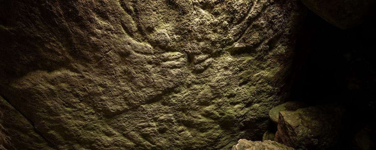 Des gravures préhistoriques de cerfs découvertes en Écosse