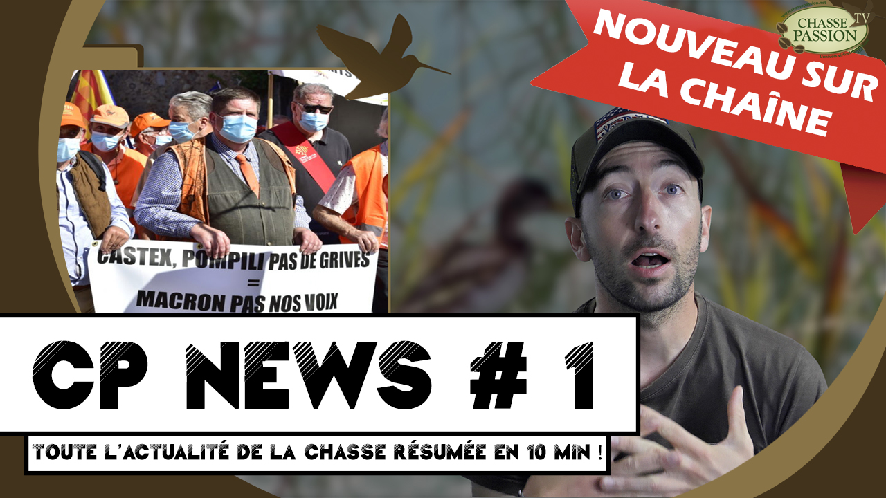 CP News : toute l’actualité de la chasse résumée en vidéo chaque semaine