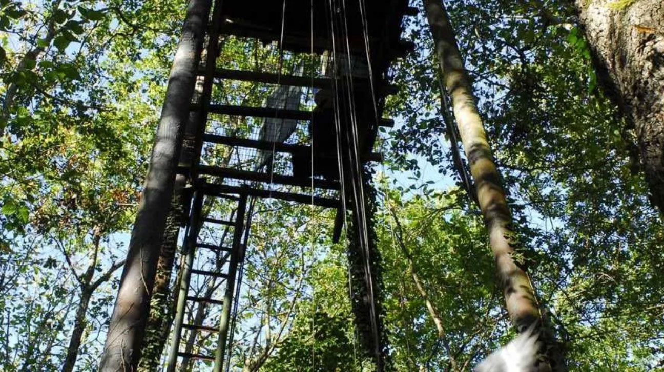 Les pompiers du GRIMP au secours de deux chasseurs coincés dans leur palombière