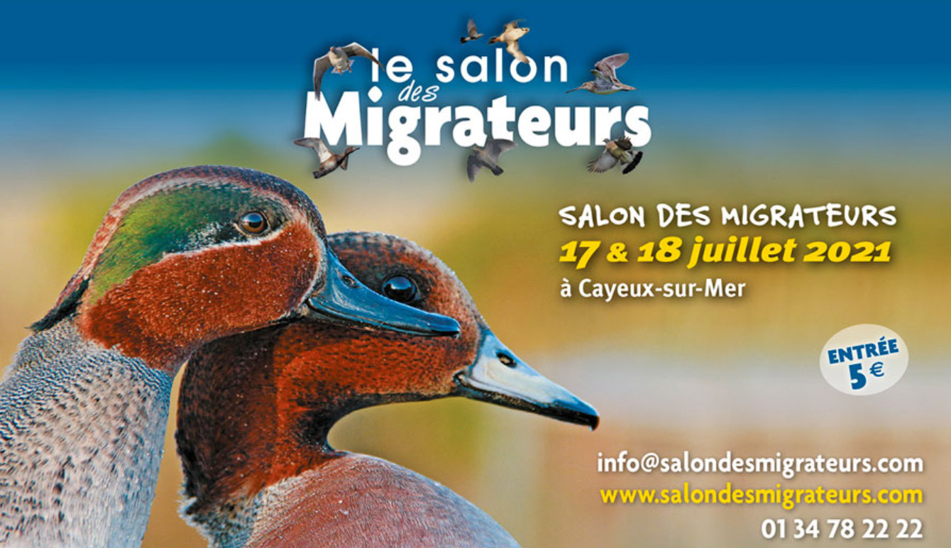 Rendez-vous au salon des migrateurs ce week-end