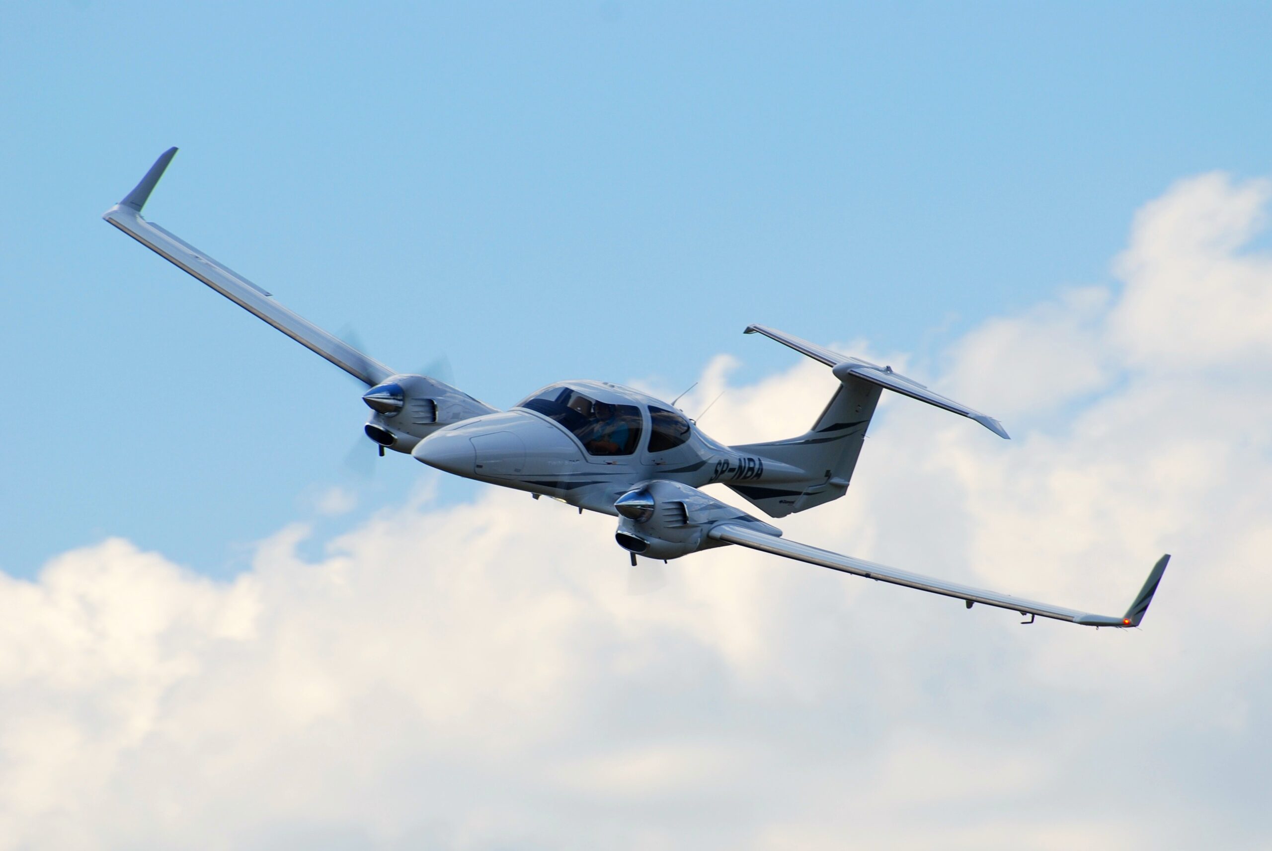 Une biche tuée par un avion bimoteur en phase d’atterrissage