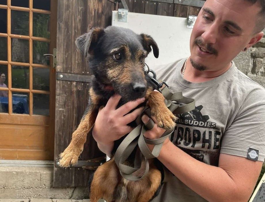 Récit exclusif : un chasseur retrouve son chien de chasse 3 ans après l’avoir perdu