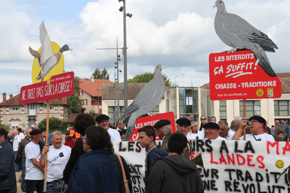 La Fédération des Landes suspend la chasse sur tout le département le 18 septembre