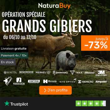 grand gibier