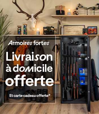 armoires fortes
