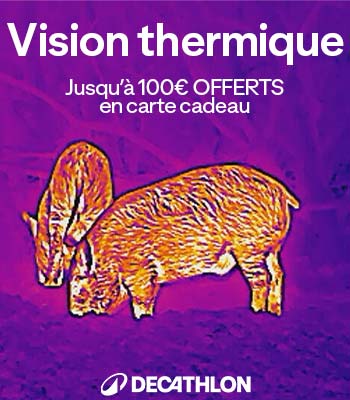 thermique