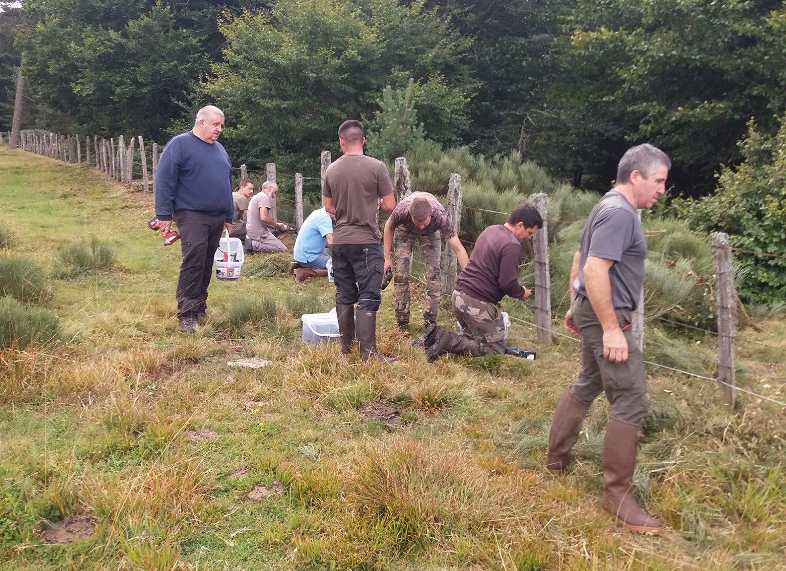 En Lozère, les chasseurs sont sur le terrain pour protéger les cultures