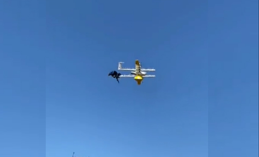 Les corbeaux s’attaquent aux drones de Google en Australie