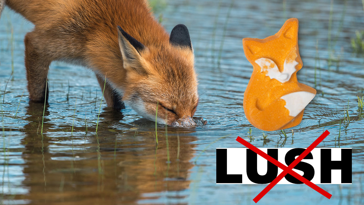 Lush, la marque qu’aucun chasseur ne doit plus acheter