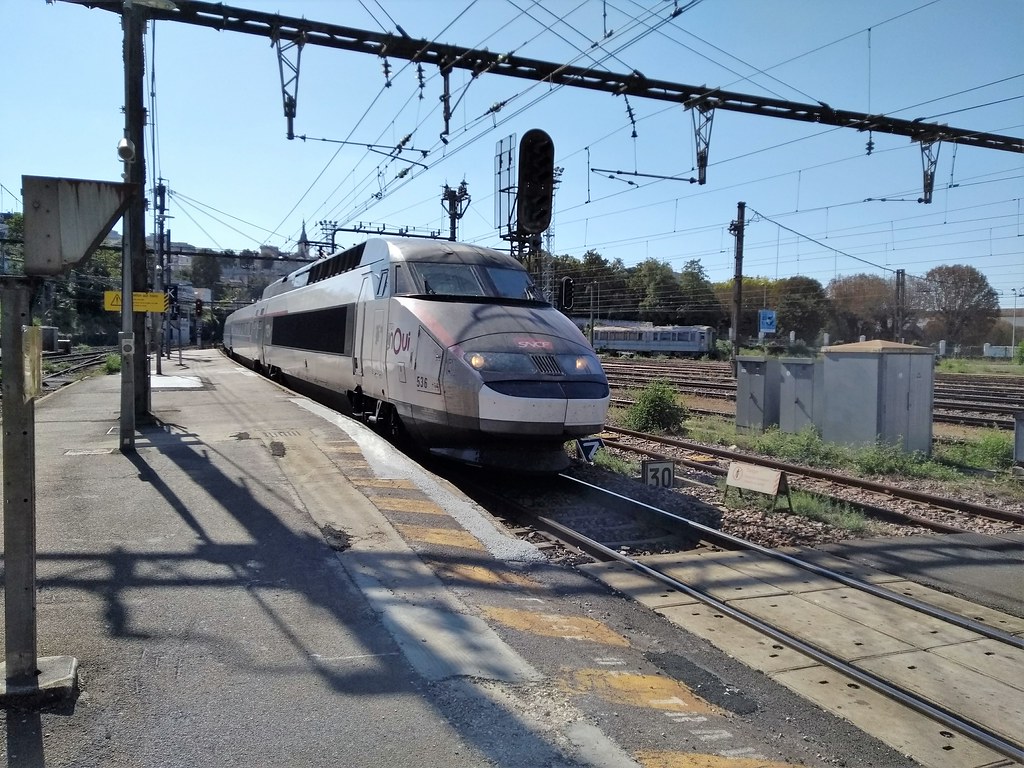 Haut-Rhin : un sanglier entre en collision avec un TGV et perturbe tout le trafic du Grand Est