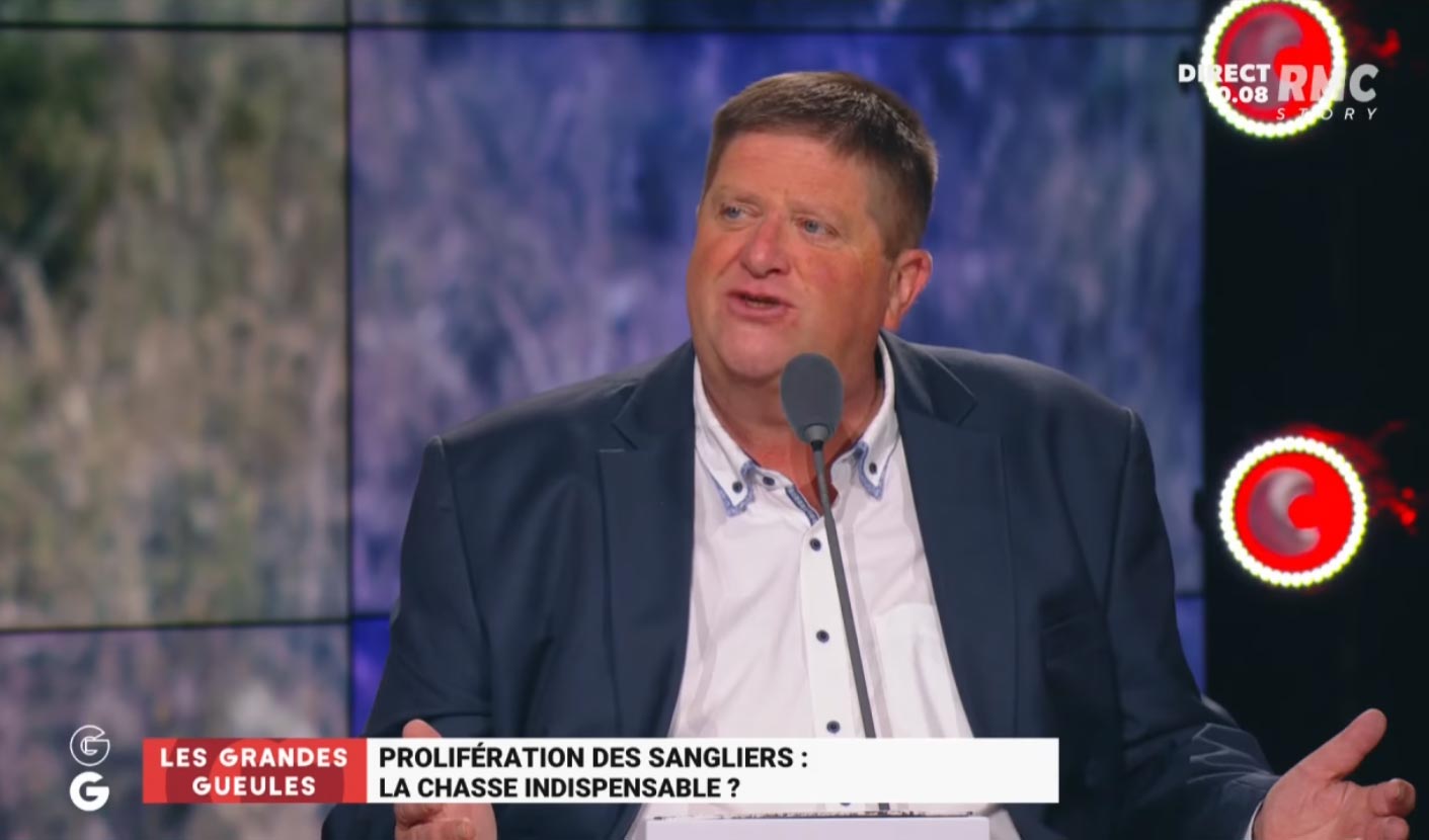 Willy Schraen parle de la prolifération des sangliers sur RMC