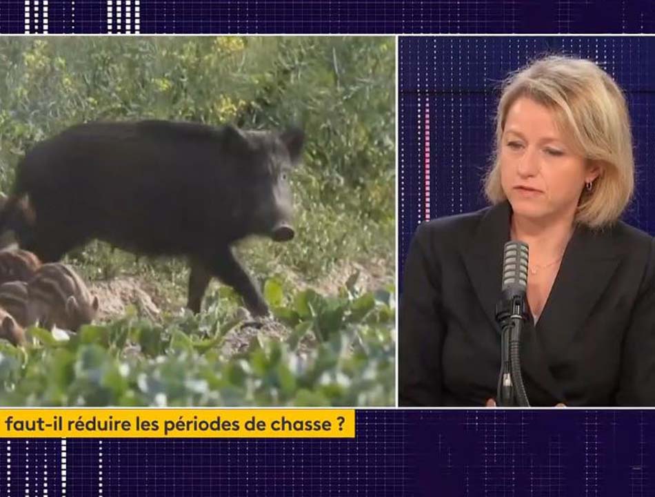 Barbara Pompili répond aux maires d’Ille-et Vilaine au sujet des accidents de chasse