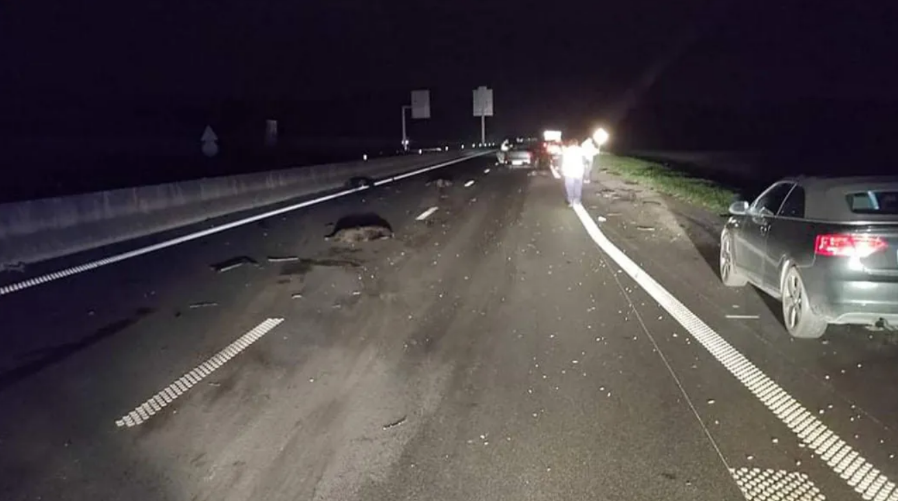 Accident entre 5 voitures et une compagnie de sangliers dans l’Oise