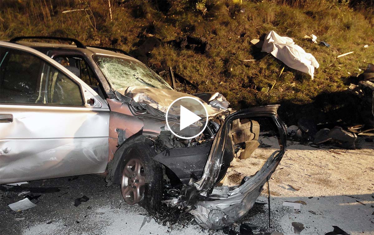 Vidéo choc : un véhicule percute et tue 9 sangliers dans le Var