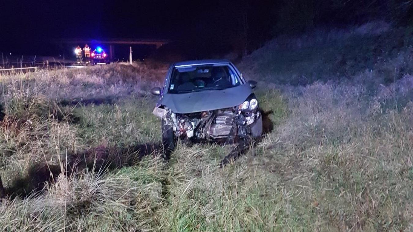 Une voiture part en tonneaux après avoir percuté des sangliers sur l’autoroute