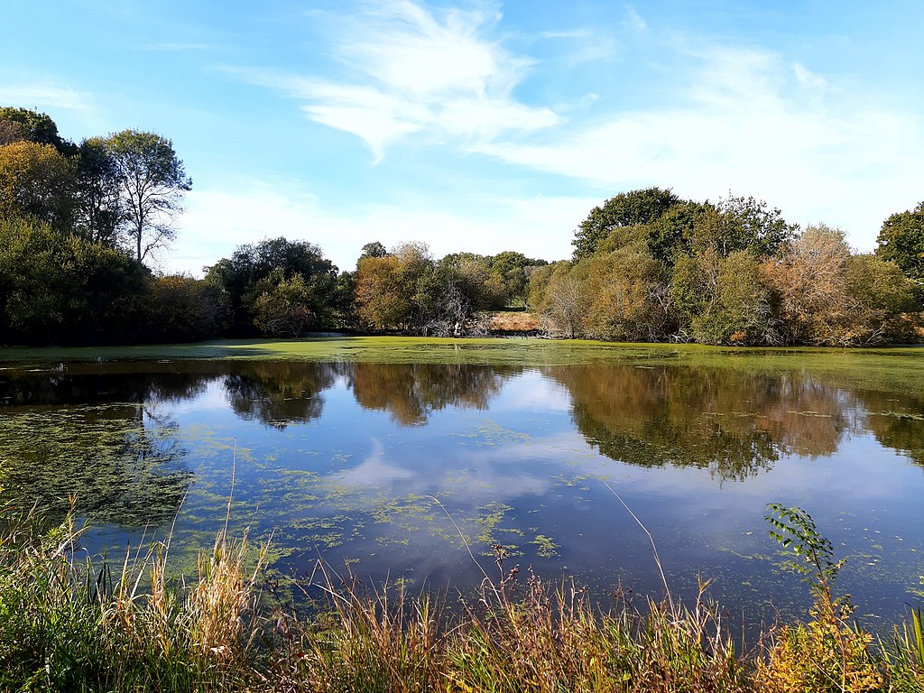 La Fédération de chasse de Loire-Atlantique achète un étang à Guérande dans le but de protéger le site