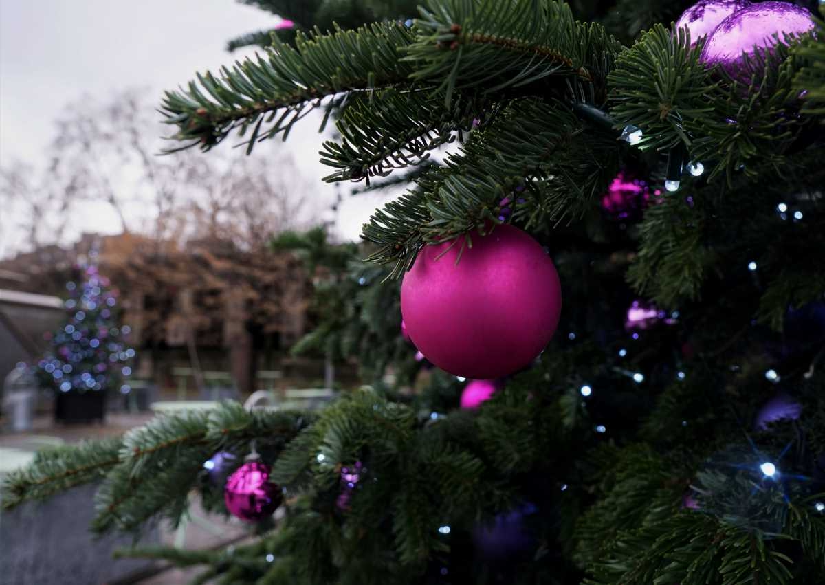 Paris : des habitants installent leur vrai sapin au lieu de cônes en bois