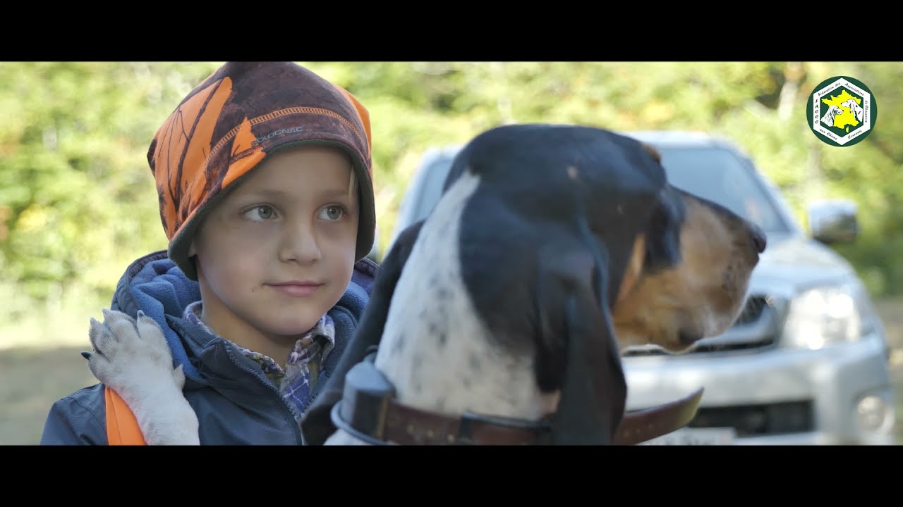 [Vidéo] Un dimanche à la chasse « spécial chiens courants »