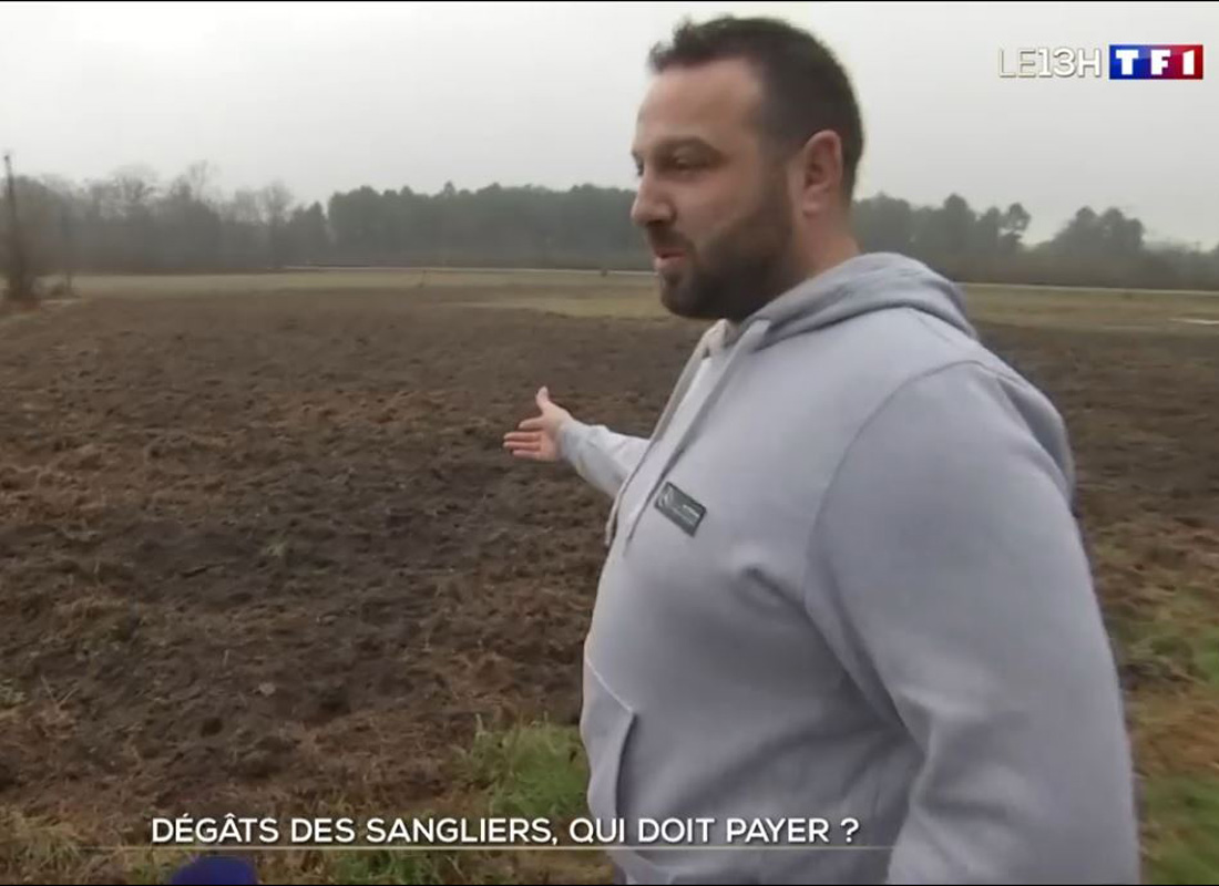 [Reportage] Indemnisations des dégâts dans les Landes : le point de vue d’un agriculteur