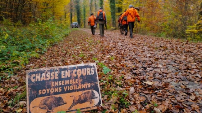 Les chasseurs du Finistère en ont assez de se faire voler leurs panneaux